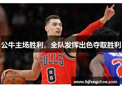 公牛主场胜利，全队发挥出色夺取胜利