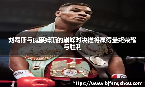 刘易斯与威廉姆斯的巅峰对决谁将赢得最终荣耀与胜利