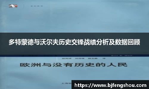 多特蒙德与沃尔夫历史交锋战绩分析及数据回顾