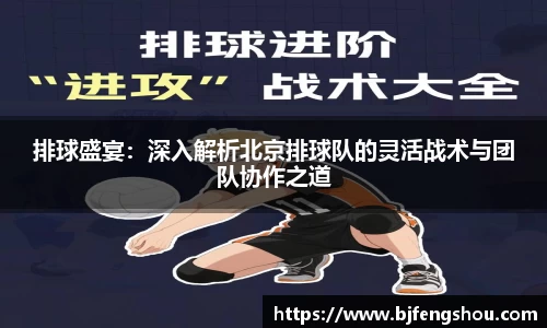 排球盛宴：深入解析北京排球队的灵活战术与团队协作之道