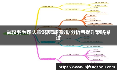 武汉羽毛球队意识表现的数据分析与提升策略探讨
