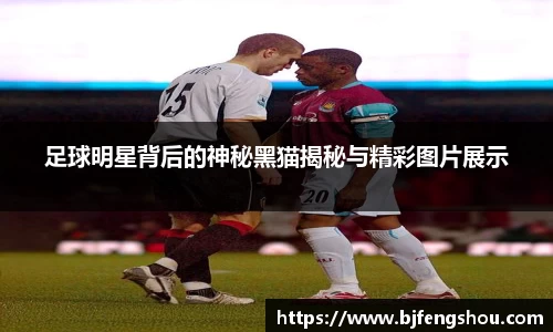 一竞技从一开始·竞无止境